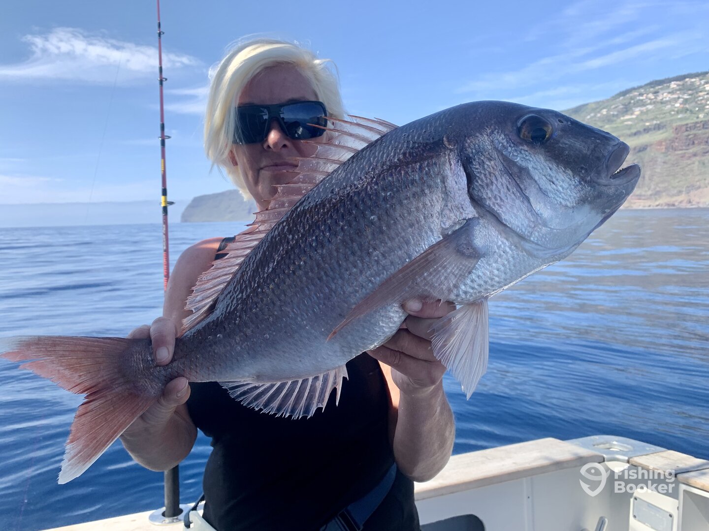 Calheta Report Photo 0