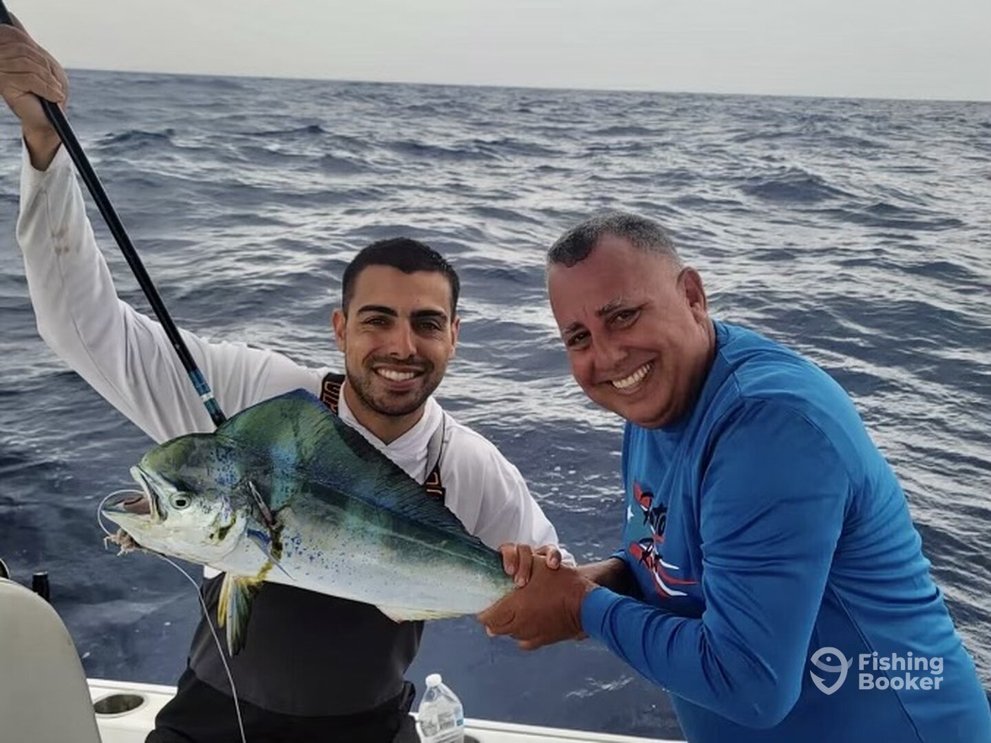Humacao Report Photo 0