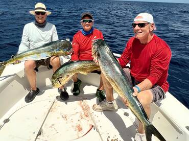 Port Orange Report Photo 2