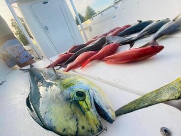 Port Orange Report Photo 1