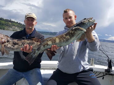 Ling Cod season is here  !