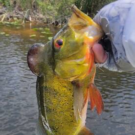 Fort Lauderdale Report Photo 1