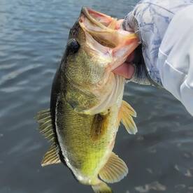 Fort Lauderdale Report Photo 2