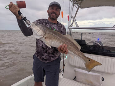 Galveston Report Photo 1