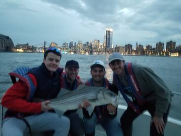 Possibly best Spring ever.