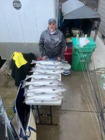 Spring chinook catching is going good!!