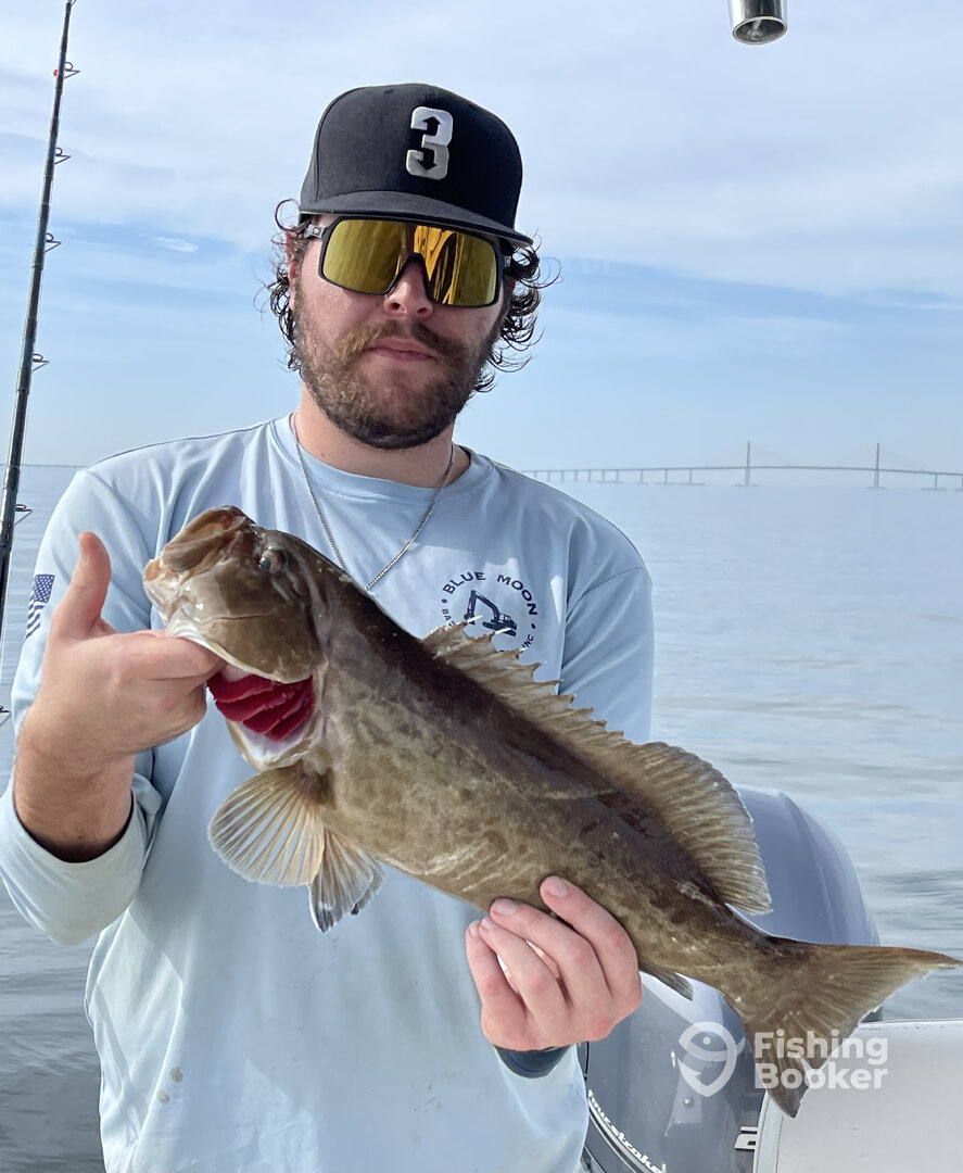 Tampa Report Photo 0