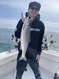 Coho Salmon showing up in Port washingto