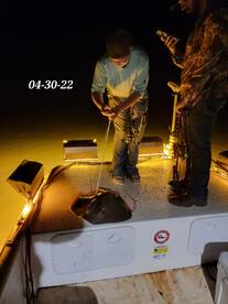 Dauphin Island Report Photo 2