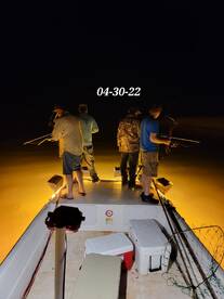Dauphin Island Report Photo 1