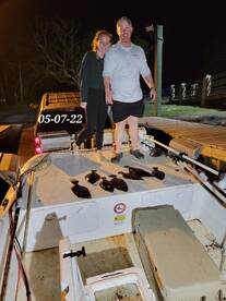Dauphin Island Report Photo 2