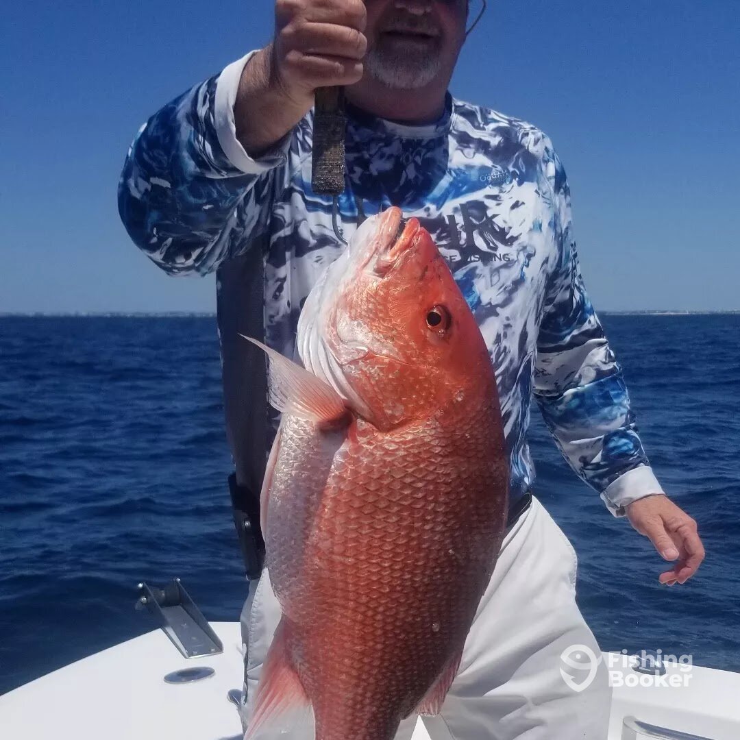 Destin Report Photo 0