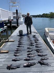 Virginia Beach Report Photo 2