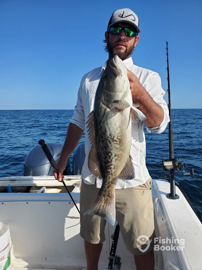 Carrabelle Report Photo 0