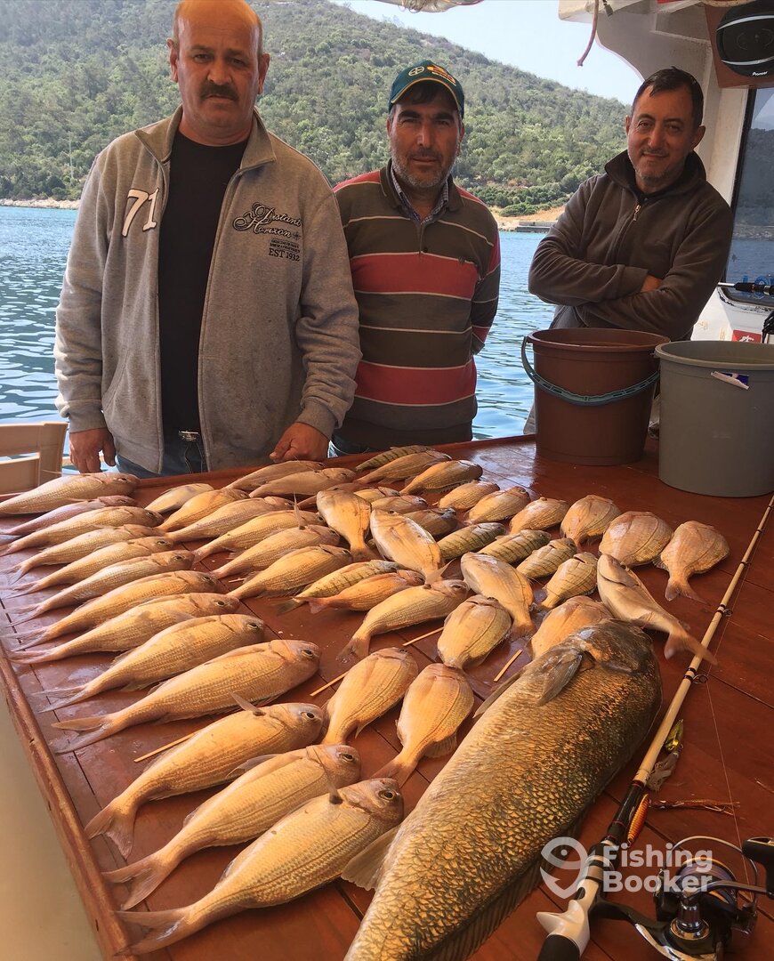 Aydın Report Photo 0