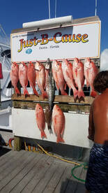 Red snapper season in full swing!