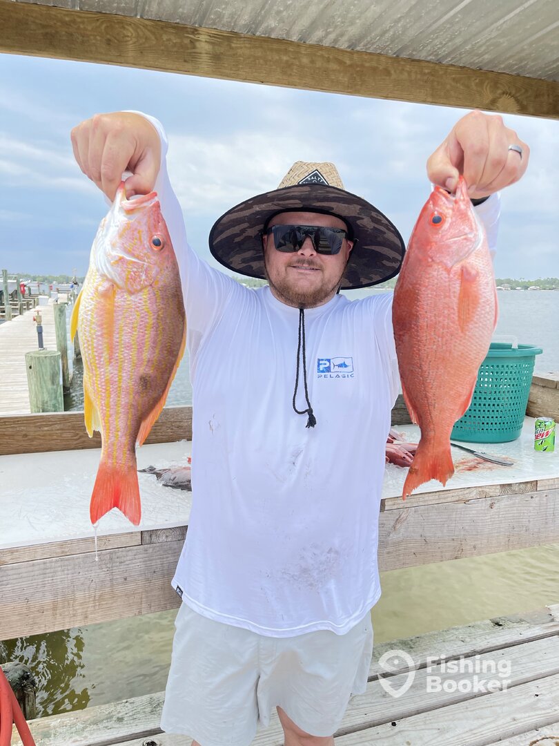 Orange Beach Report Photo 0