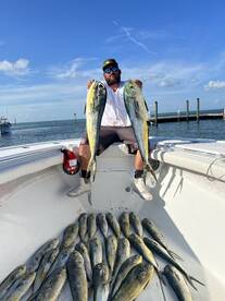 Mahi Season is here