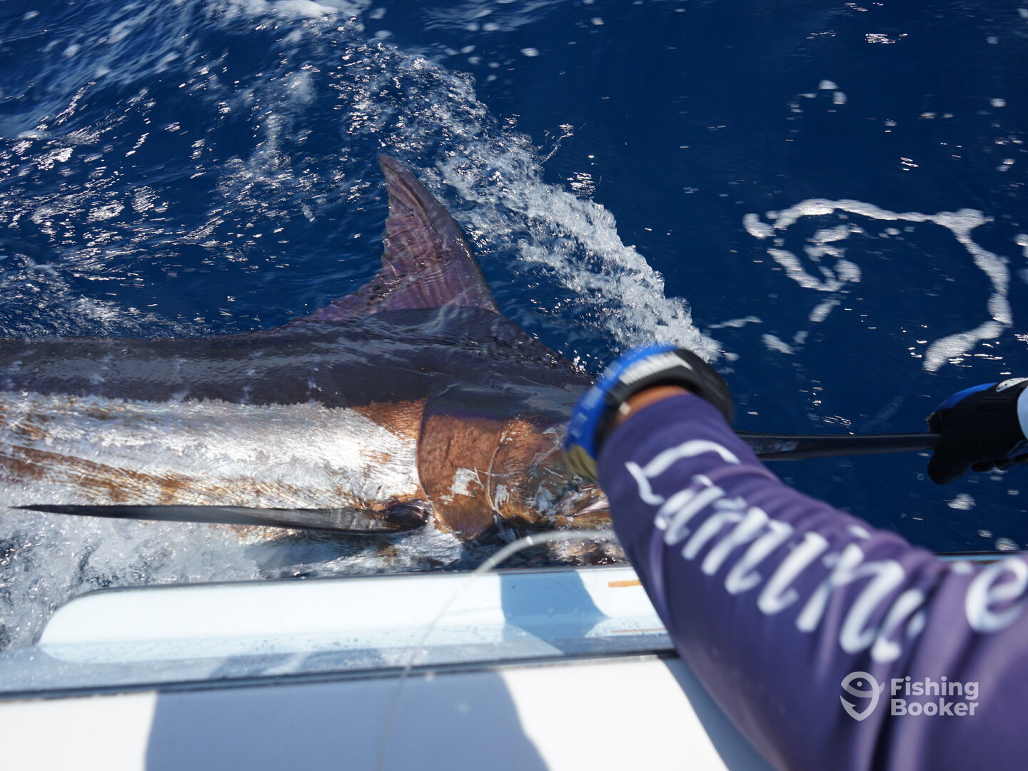 Herradura Report Photo 0