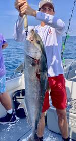 Shalimar Report Photo 2