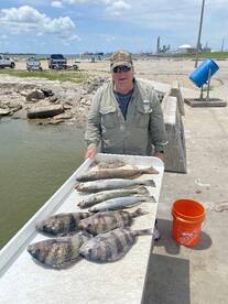 Galveston Report Photo 1