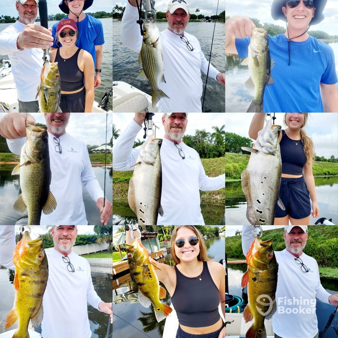 Delray Beach Report Photo 0