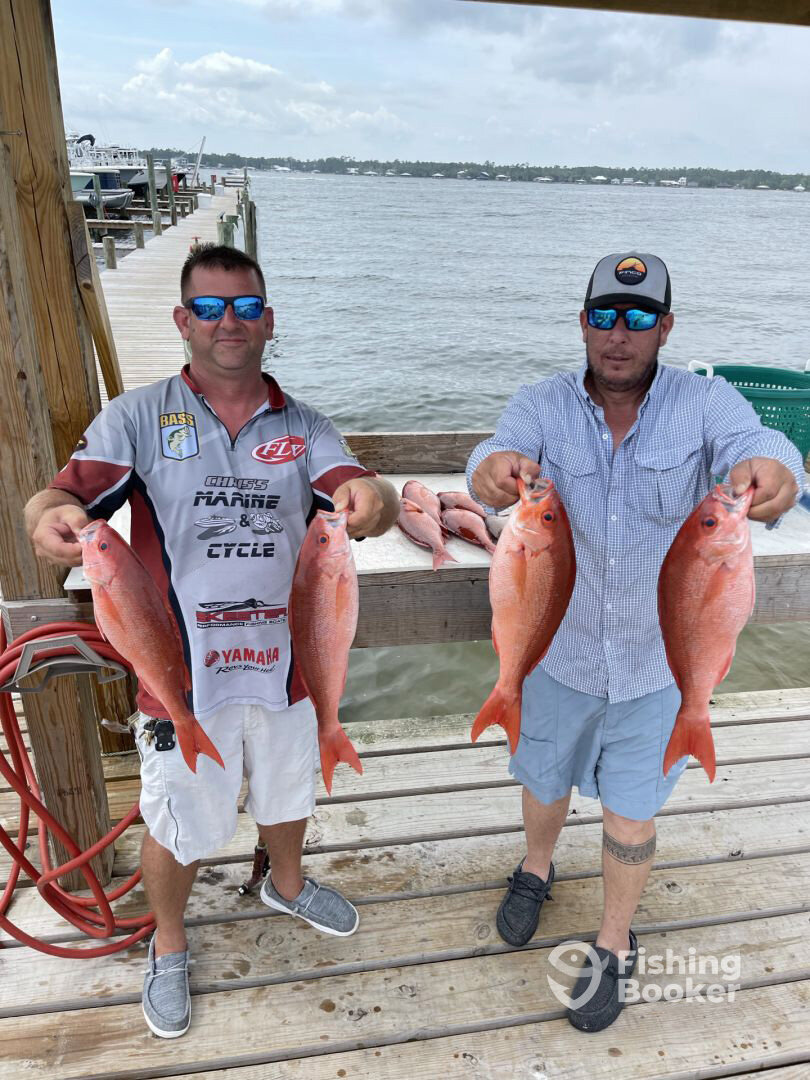 Orange Beach Report Photo 0
