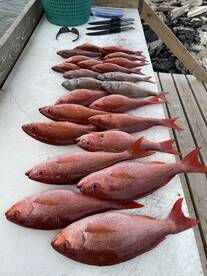 Orange Beach Report Photo 2