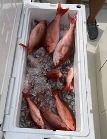 Orange Beach Report Photo 1