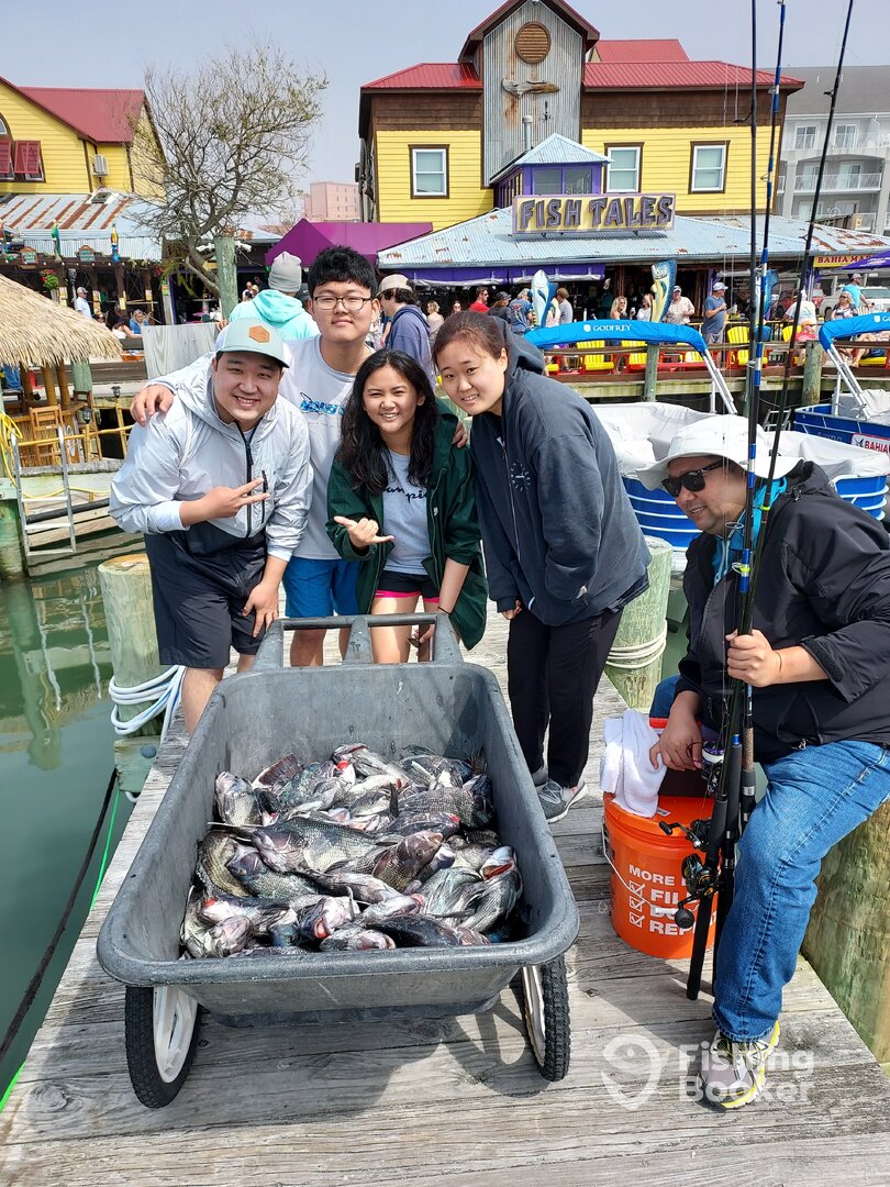 Ocean City Report Photo 0