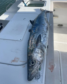 Gulfport Report Photo 1