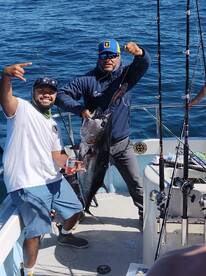 SeasonBlue fin tuna.