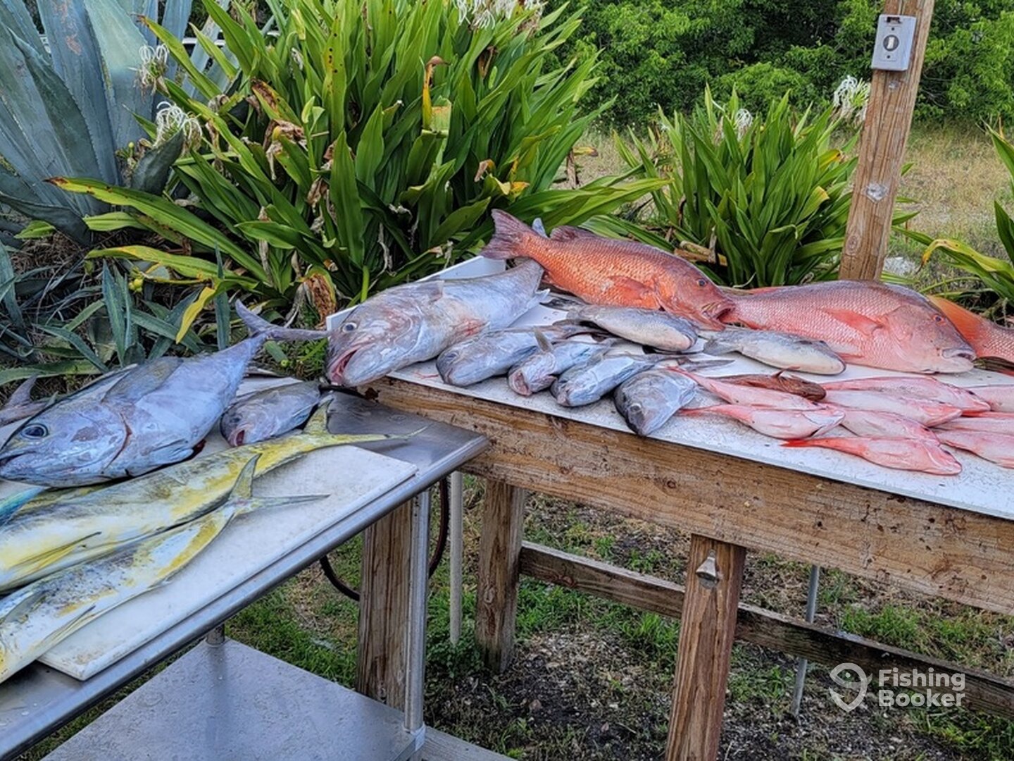 Fernandina Beach Report Photo 0