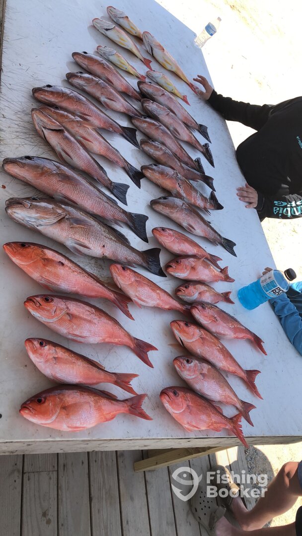 Pensacola Report Photo 0