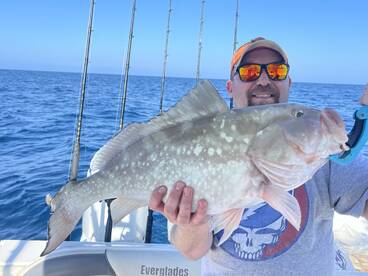 Belleair Bluffs Report Photo 2