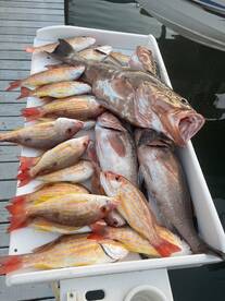 Belleair Bluffs Report Photo 1