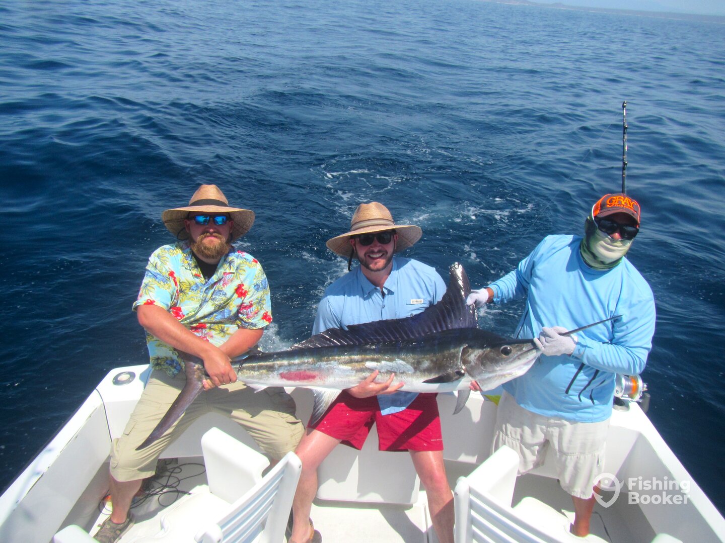 Cabo San Lucas Report Photo 0