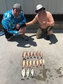 Islamorada Report Photo 2