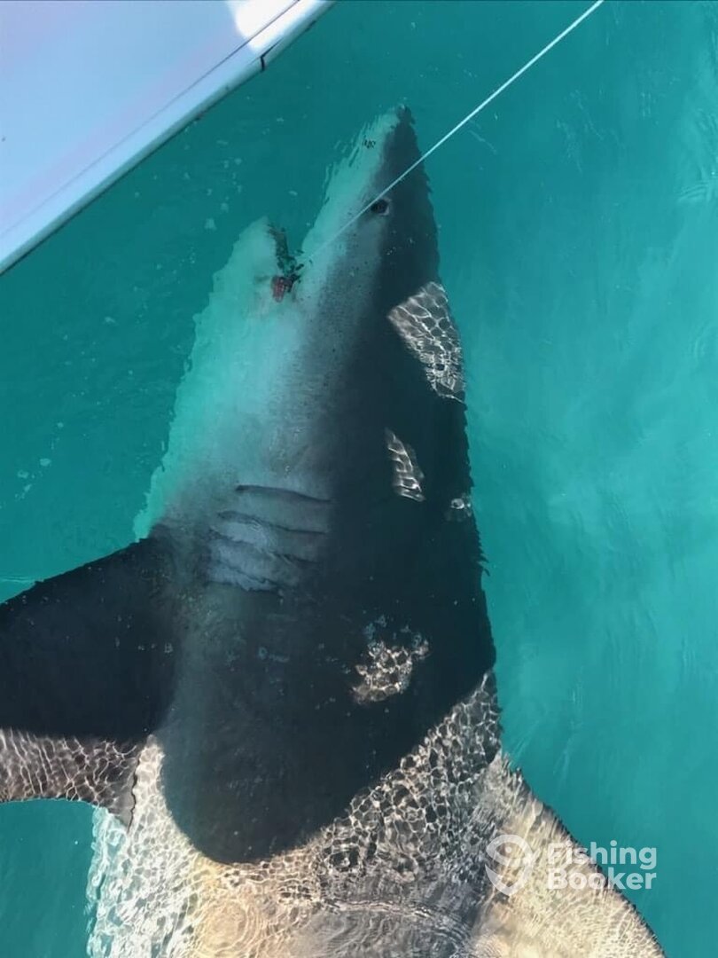 Islamorada Report Photo 0
