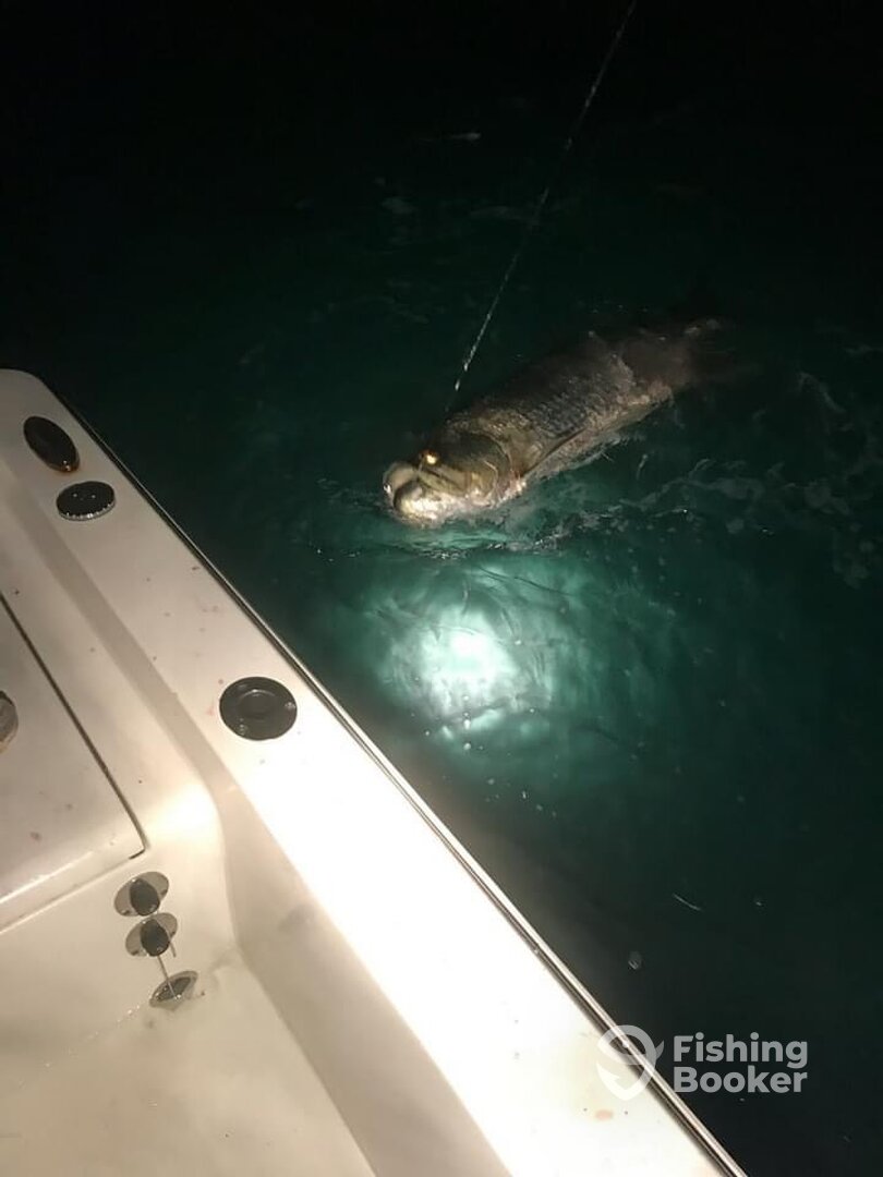 Islamorada Report Photo 0