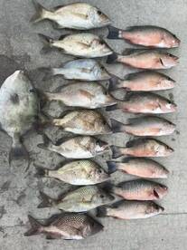 Islamorada Report Photo 2