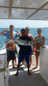 Punta cana barracudas 