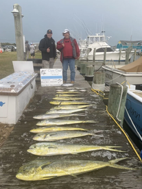 Great offshore fighing! Pic of last few 