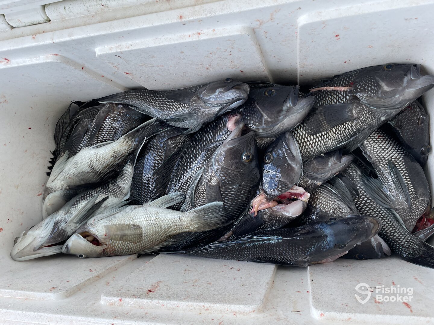 Longport Report Photo 0