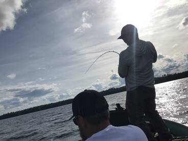 Spring Pike and Trout 