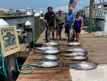Hot Tuna Fishing