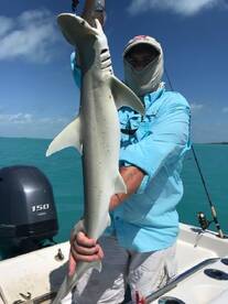 Islamorada Report Photo 1