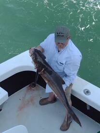 Wanchese Report Photo 1