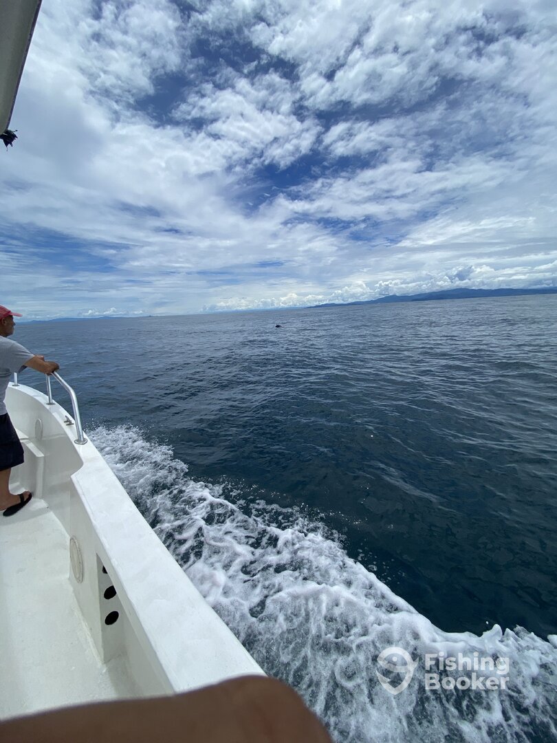 Herradura Report Photo 0