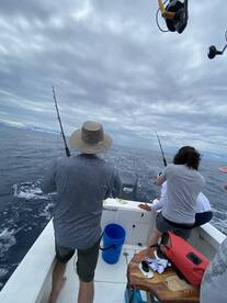 Herradura Report Photo 1